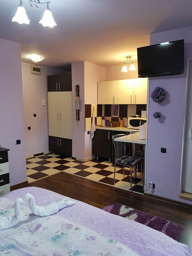Apartamento Garsoniera Cristina Băile Felix Exterior foto