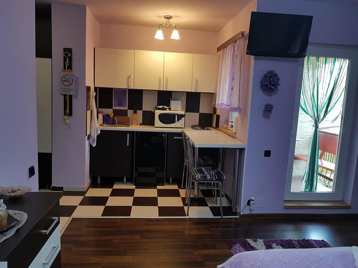 Apartamento Garsoniera Cristina Băile Felix Exterior foto