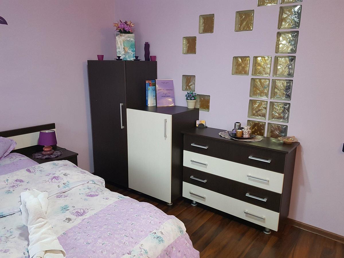 Apartamento Garsoniera Cristina Băile Felix Exterior foto