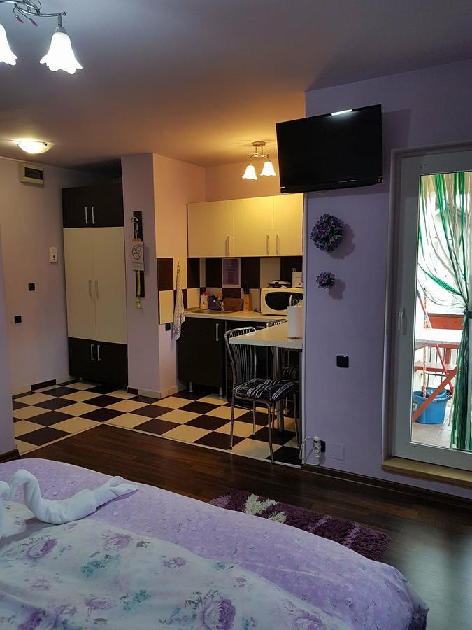 Apartamento Garsoniera Cristina Băile Felix Exterior foto