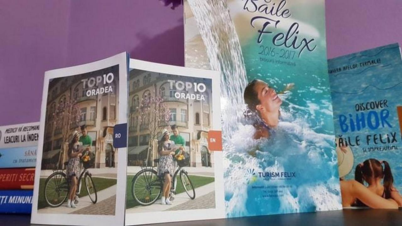 Apartamento Garsoniera Cristina Băile Felix Exterior foto